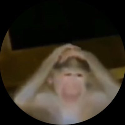 __maeebx's profile picture. l’aigrie du village