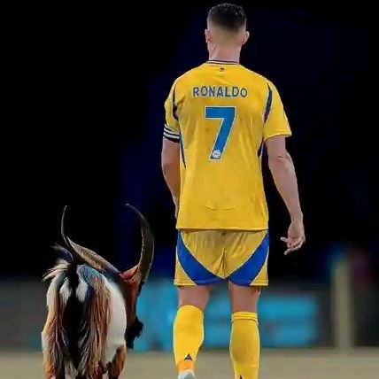 mohammed_g88440's profile picture. Dex trading 💪