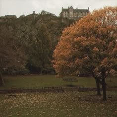 bldywntr's profile picture. 