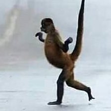 franfran200214's profile picture. no meio do caminho tinha uma pedra, tinha uma pedra no meio do caminho