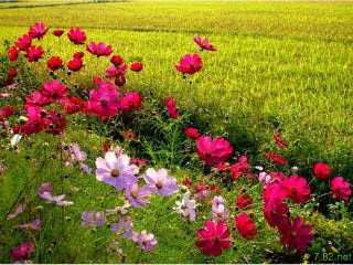 won3565's profile picture. 