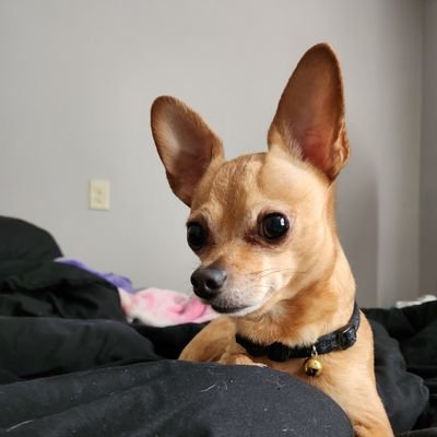 ArtistNamedTori's profile picture. 23 | she/her | TX | IG: @artist_named_tori |
I do art, mostly traditional might do digital |
My original account got hacked so restarting -_-