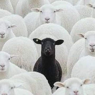 ekunoflagos1's profile picture. ...