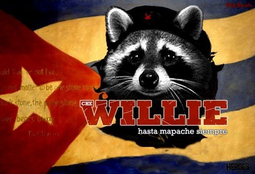 sanpaganss's profile picture. 