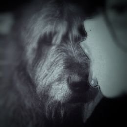 XboxSurvival's profile picture. Peace is the most complex system possible, but also the most rewarding. The only good ending is the lack of ending.