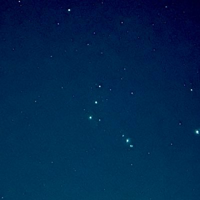 danielanovak1's profile picture. 