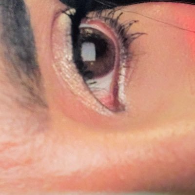 februaryiissue's profile picture. «هامش ربح لخسارة مُعلَنة»