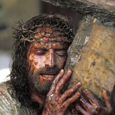 Consumer Advocate Profile