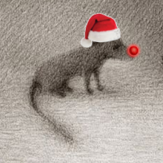 Discollaborator's profile picture. i'm on a quest