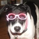 Danielle Livingston - @EarthGirl2008 - Twitter