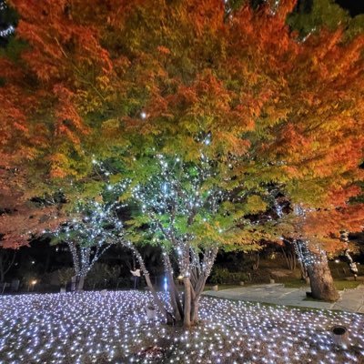 hsiao421's profile picture. Be Strong!
Be Courageous!
Be like Charlie!
#Conservative #2A #MAGA #CharlieKirk #FormerDemocrat #Republican
🚫DMs  🚫Porn  🚫CRYPTO 🚫LOTTO