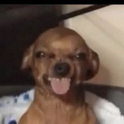 thirdy55040871's profile picture. 