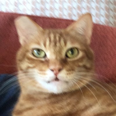 desmondhth's profile picture. 