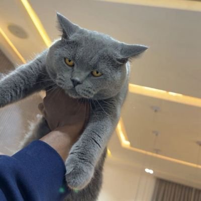 dfwmiles1's profile picture. Tweeting....one of a kind MASTERPIECE❗