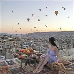 Judson678756's profile picture. 