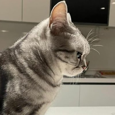 imcharlie418's profile picture. 