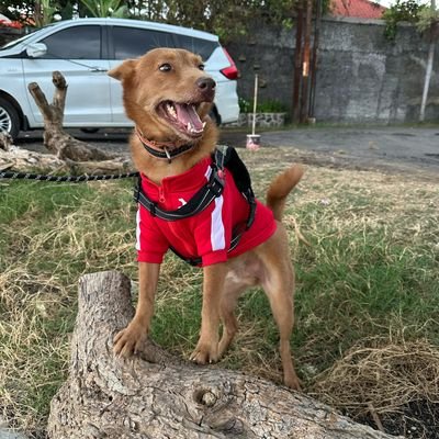 Heysaachan's profile picture. 