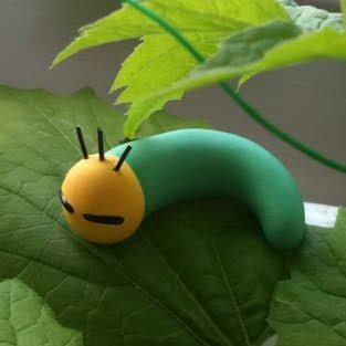 qDCeMFMODjxpsCy's profile picture. あおむしになりました。
これは昔緑のカーテンベランダでやってた時にうちに来たあおむしニャッキの写真です。