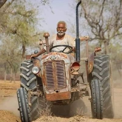 netzeero's profile picture. 