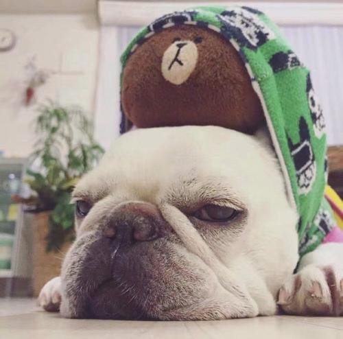 ChemManishraj's profile picture. Recipe tweak needed