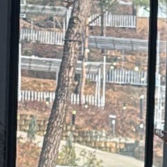 HANrnoty's profile picture. 