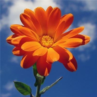 NarwateRamesh's profile picture. Anyone else get lost in their own thoughts?