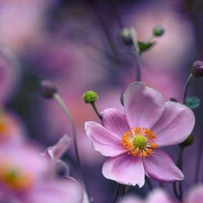 RakeshR25030440's profile picture. Late nights