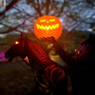 HeadlessZandra's profile picture. Loosing my head over everything