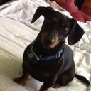 Mathew Kind - @mathewkind - Twitter