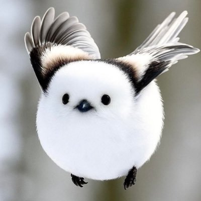 SeireiMoribito's profile picture. Japon Lover ❤️ 世界がどれほど美しいかを見てください In love des oiseaux 💕