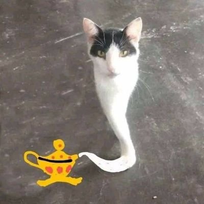 aspiringmleng's profile picture. 