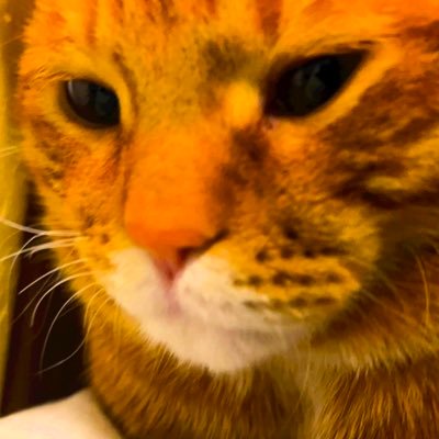 sle3pyc4t's profile picture. Security Engineer @OKX