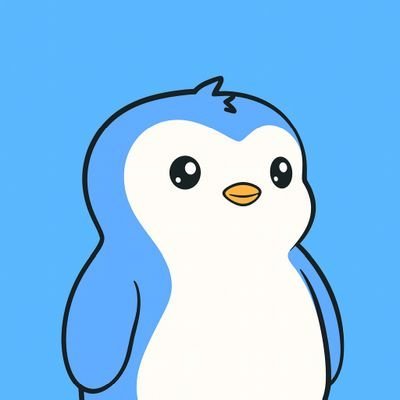 pandaa_xbt's profile picture. retarded but not retired