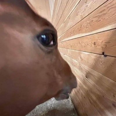 SonasAxle10573's profile picture. Personal account