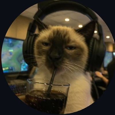 vxdrevyn's profile picture. nerd