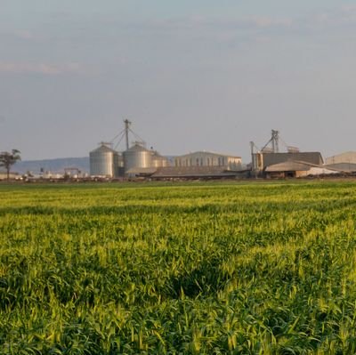 BrunaHe711's profile picture. 