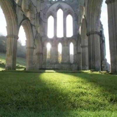 mo_taha0998's profile picture. 