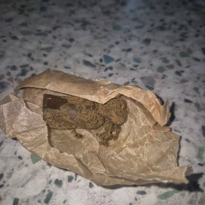 charles_fr86821's profile picture. Livraison rapide discrète et https://t.co/7oXlUtURos SNAP: calisaintet2025, INSTAGRAM : soza livraison, TIK TOK:donlk9316