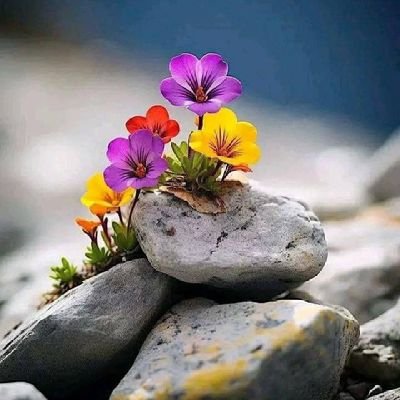 bhyr596251's profile picture. اسلام