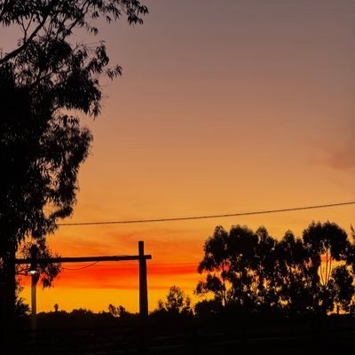 klanian's profile picture. generalist @earnmrewards