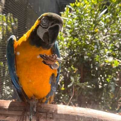 NegativeTerry's profile picture. 