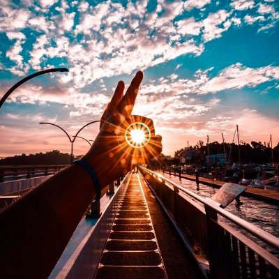 TriggerTrades's profile picture. Creator of Elliott Wave 2.0 | Free + Premium Discord in Bio