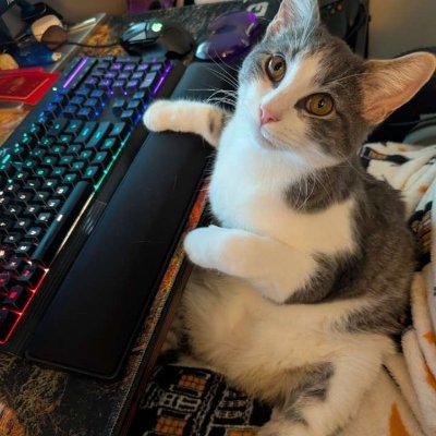 justansdevguy's profile picture. 