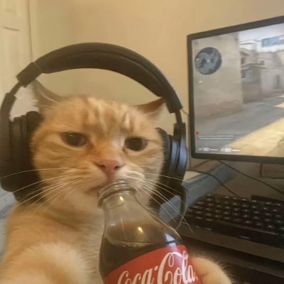 xiangweitudou's profile picture. iwara:https://t.co/qfaxM79n5Q
patreon:https://t.co/l6reBx8Ppt