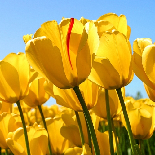 wizco_ooharu's profile picture. アパマンショップネットワークに加盟の須ケ口店。愛知県海部郡大治町を中心に、戸建て賃貸・デザイナーズマンション・ペット可物件・敷金礼金0など理想のお部屋探しを簡単検索できます！