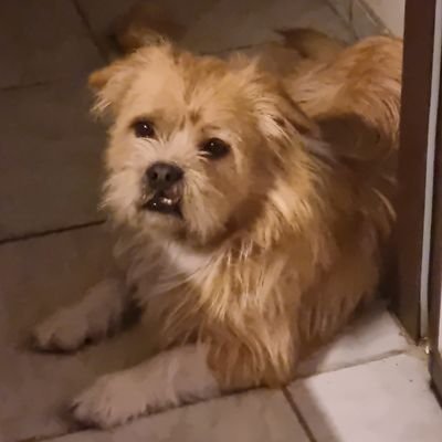 UlrichQuentin1's profile picture. 