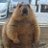 youji57749's profile image