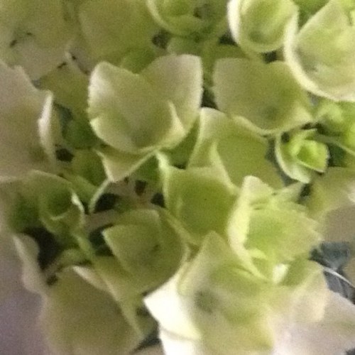 Dollymama49's profile picture. 