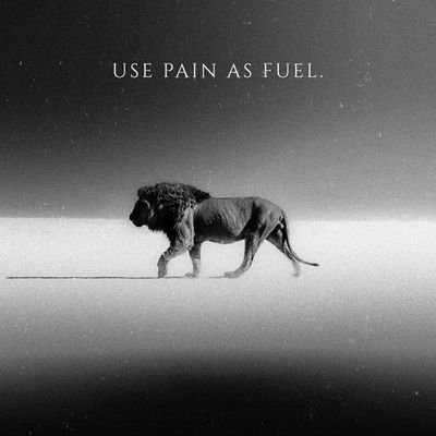 reigns_ach_0027's profile picture. 