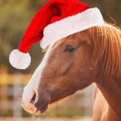 aktiehesten's profile picture. Aktieanalytiker på @kalqyl på dagen, häst på natten. Poddar i @GottTjotAktier på helgen.